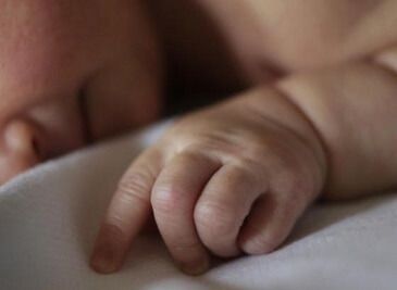 The Cycle of Babies Being Removed