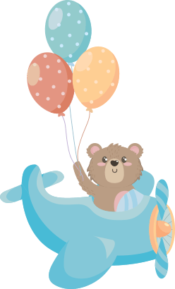 bear-on-the-plane